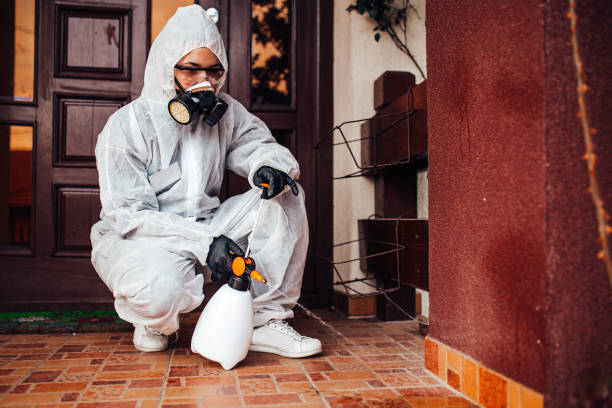 Reliable Cockroach Control contractor in North Pearsall, TX by Nex Pest Control