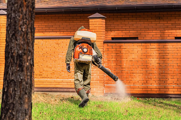 Trusted Cockroach Control service in North Pearsall, TX - Nex Pest Control